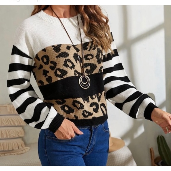 🆕LAST ONE🛍 Bold Stripes Leopard Colorblock Sweater - Picture 2 of 4